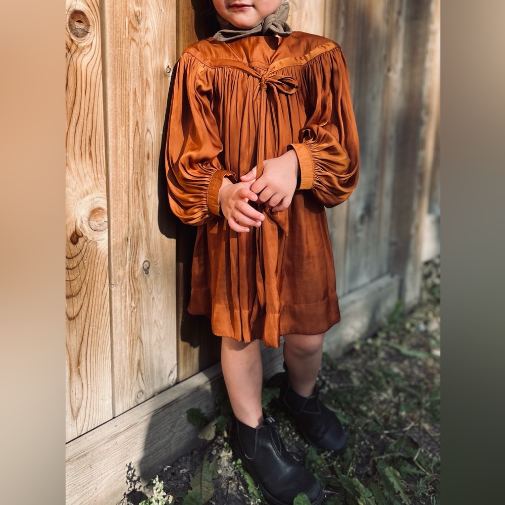 Nikolia Dress 2-3y